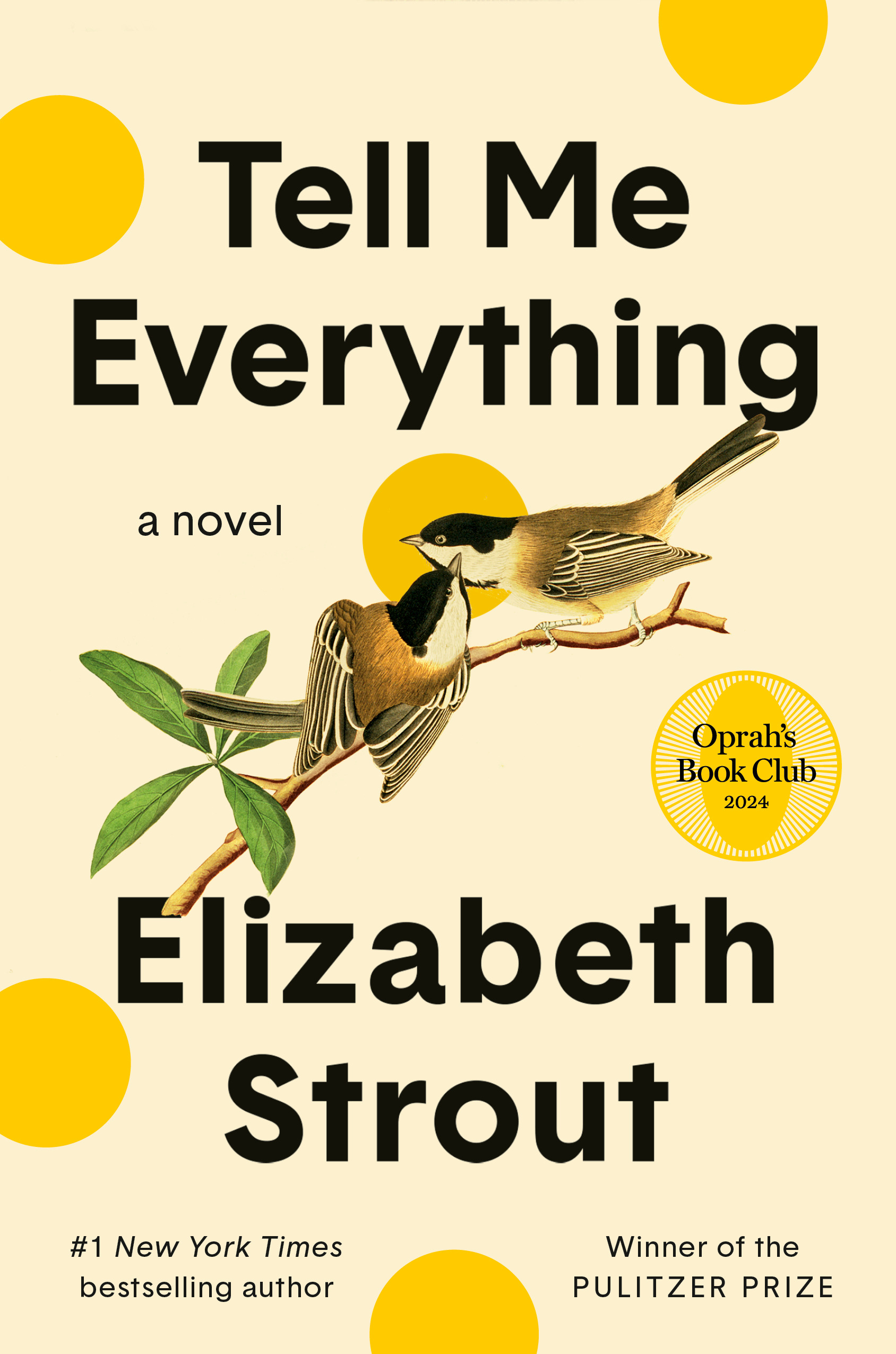 Tell Me Everything Looks Like a Novel That Understands Adult Complication