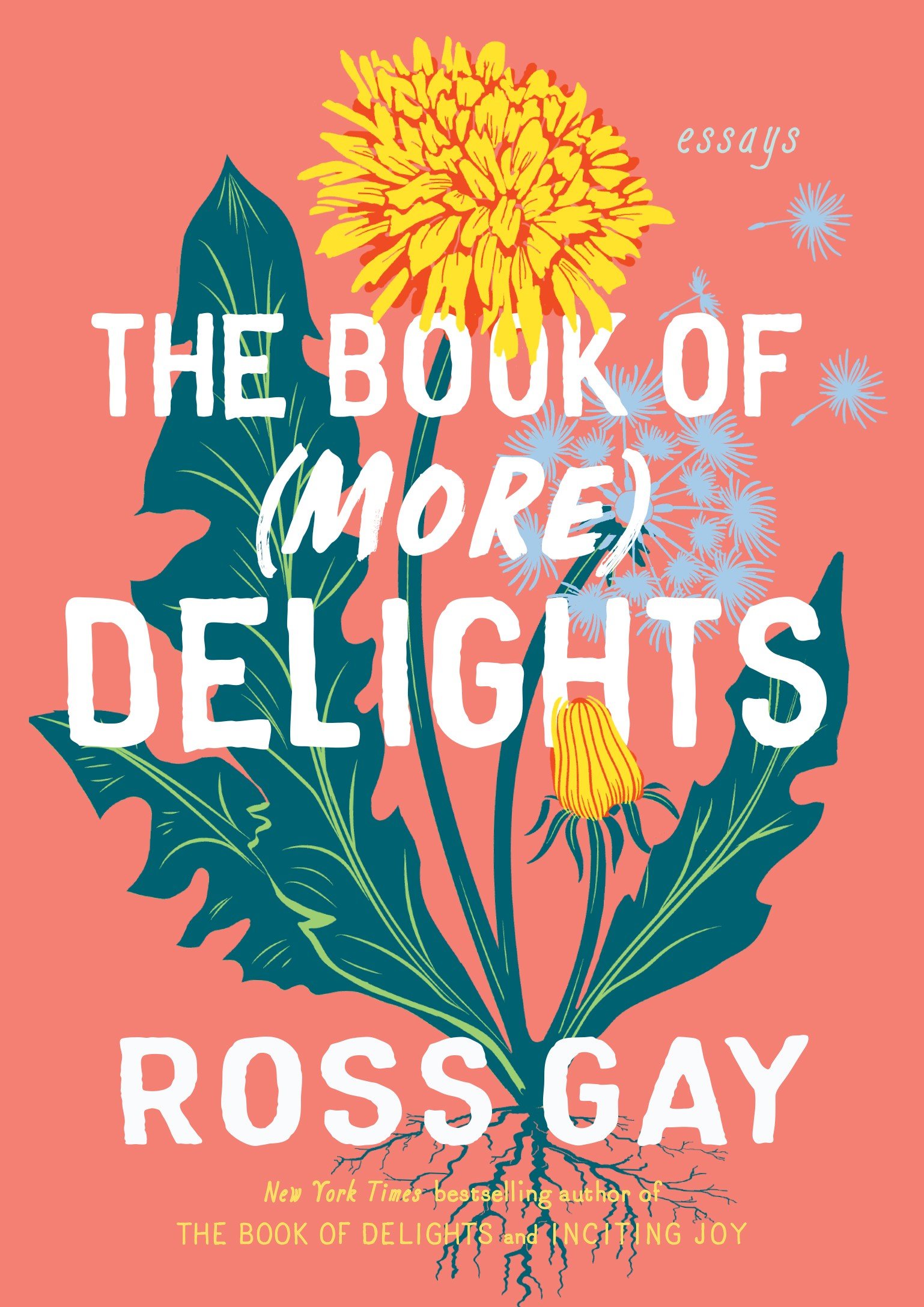 The Book of More Delights Makes Room for Attention